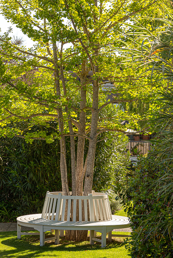 jardin provençal